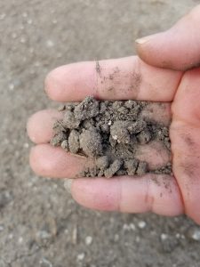 Clay dirt when it's dry