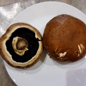 Portobello Mushroom