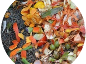 organic compost