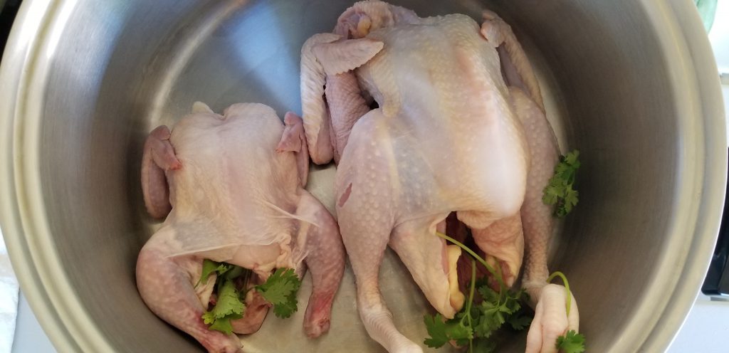 Hmong Chicken Postpartum Herb Soup