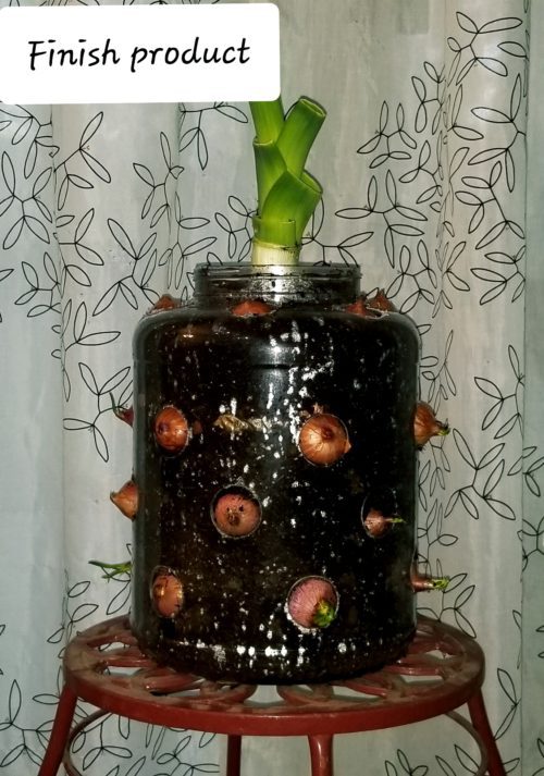 Shallots garden tower