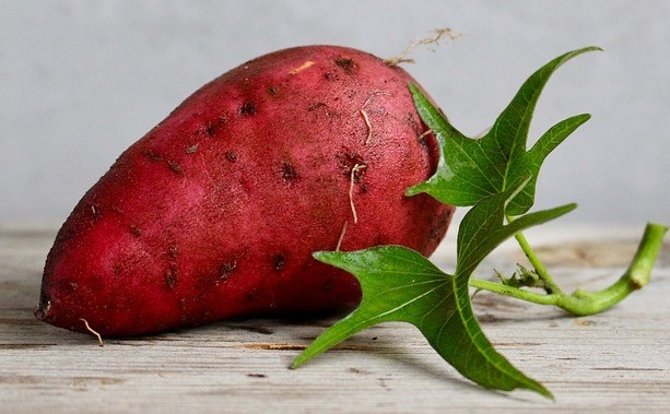 sweet potato